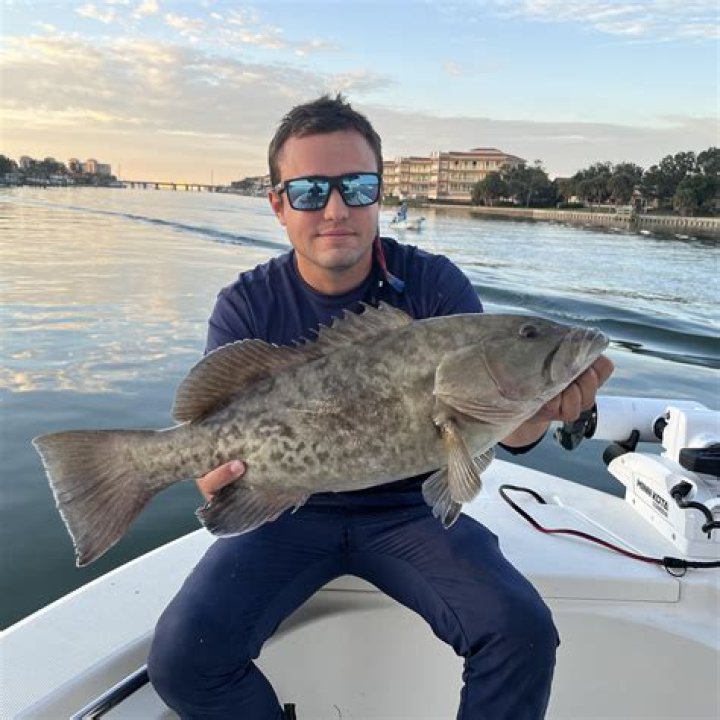 Is shrimp a good bait?