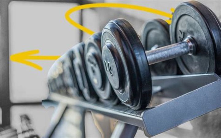 Is taking a dog out twice a day enough?