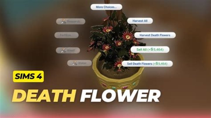 Is there a death flower?