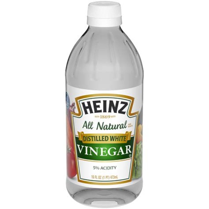 Is vinegar good for mold?