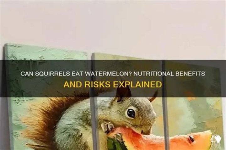 Is watermelon good for squirrels?