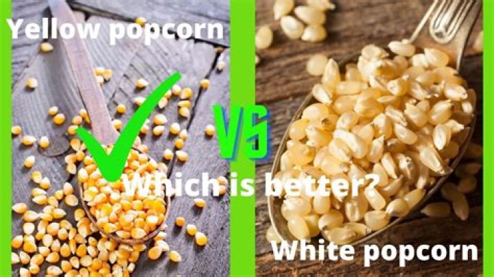 Is white or yellow popcorn healthier?