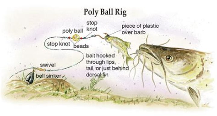 Should I use a bobber for catfish?