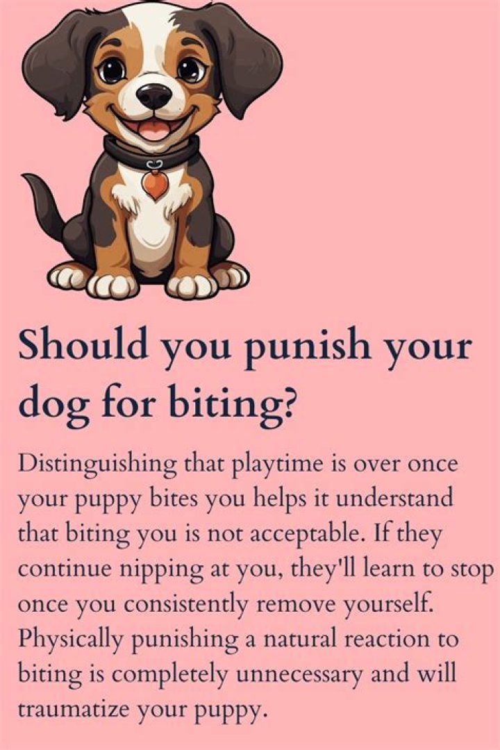 Should you punish your dog for biting?