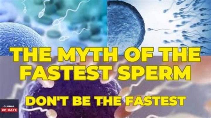 What's the fastest sperm?