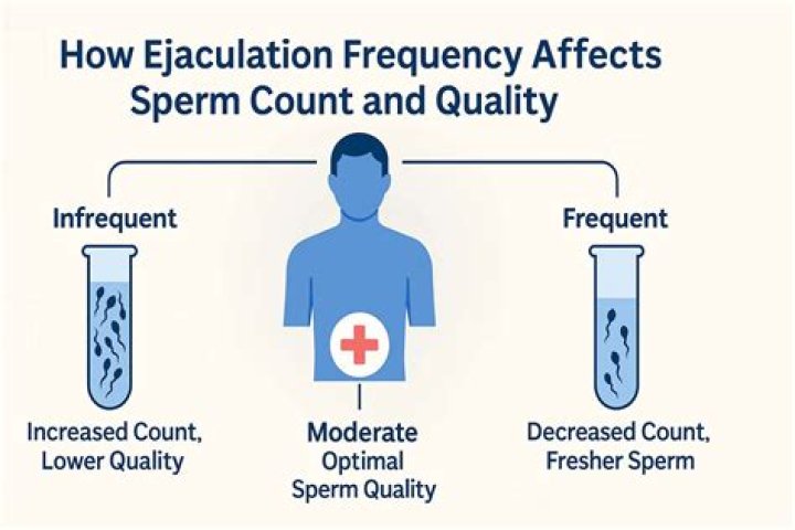 What affects sperm count?