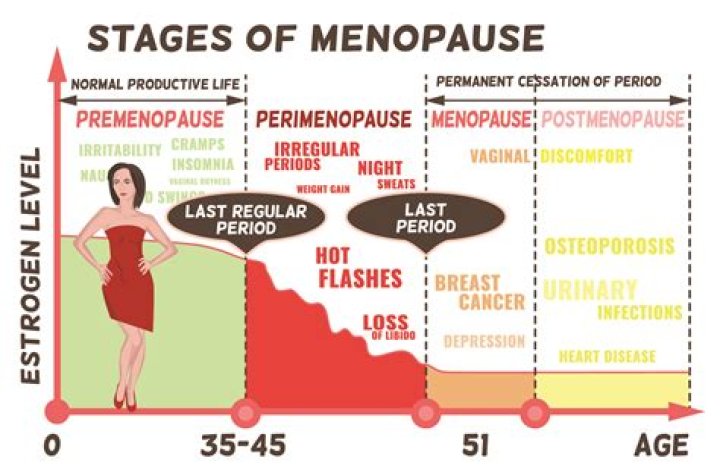 What age does menopause end?