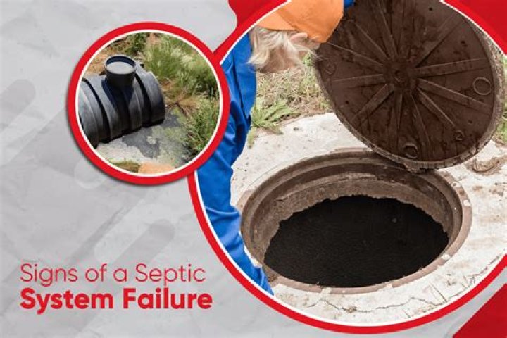 What are signs of septic tank problems?