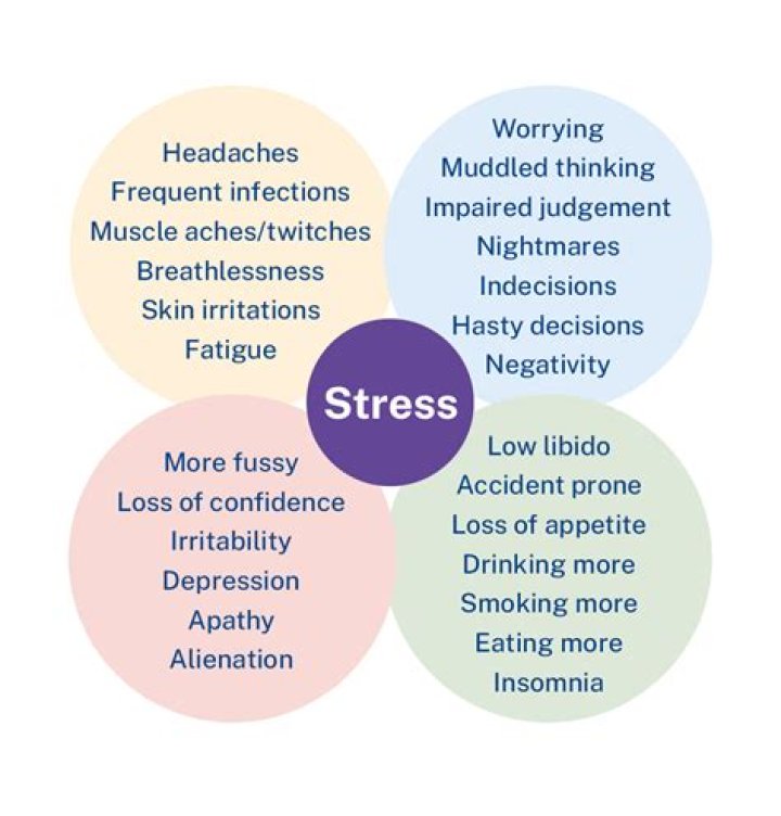 What are the 5 types of stress?