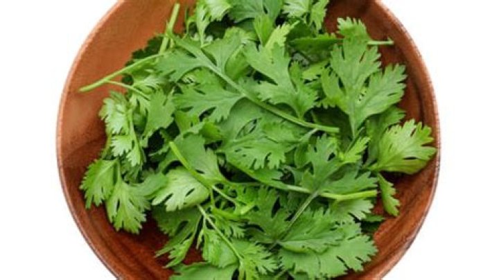 What are the benefits of drinking coriander water?