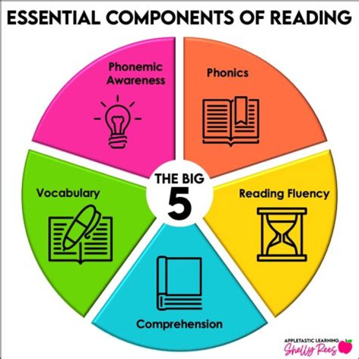What are the five reading skills?