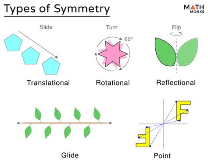 What are the four types of symmetry?