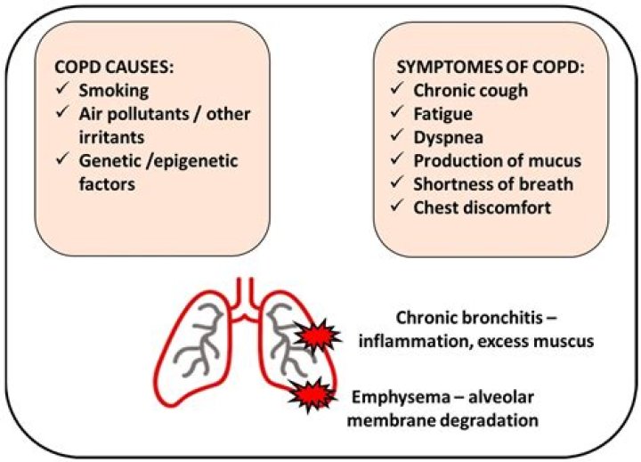 What are the most serious complications of COPD?