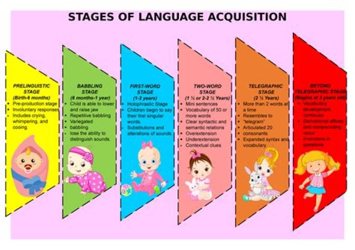 What are the stages of counting?