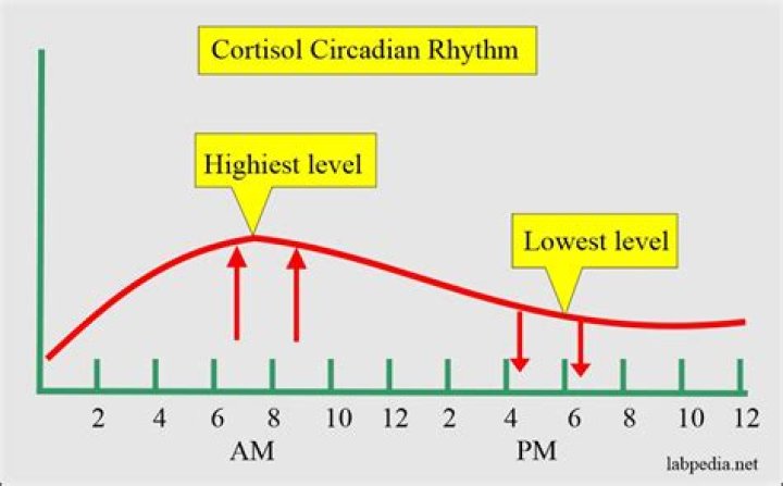 What blood test shows cortisol levels?