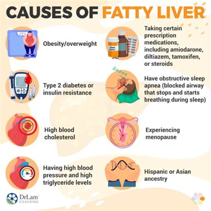 What causes fatty liver in skinny person?