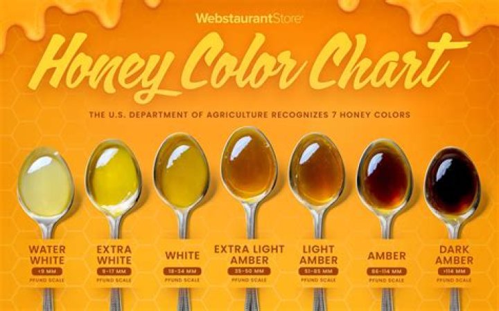 What color of honey is best?