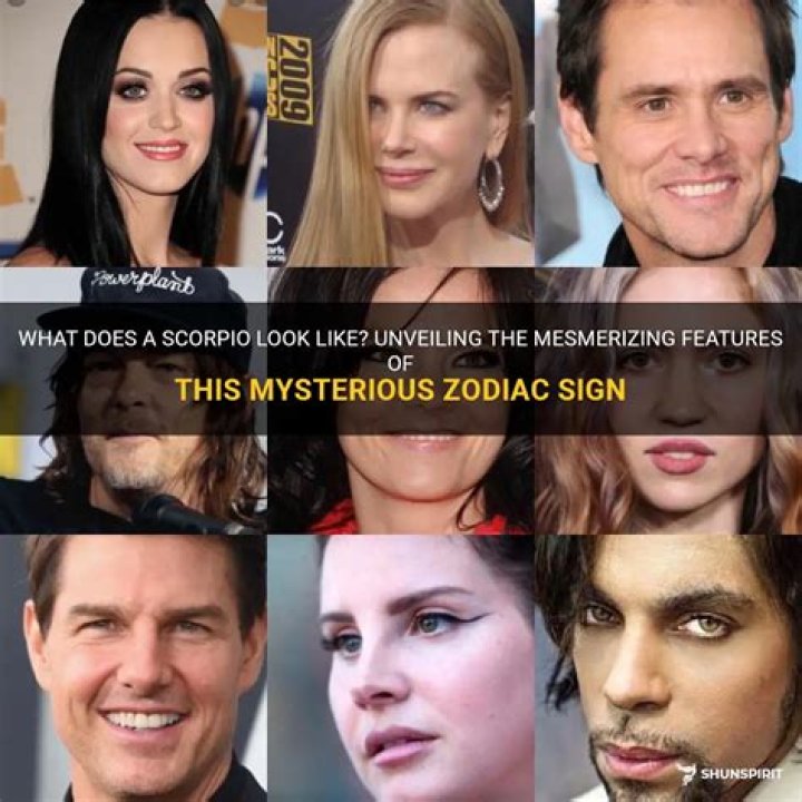 What does a Scorpio look like?