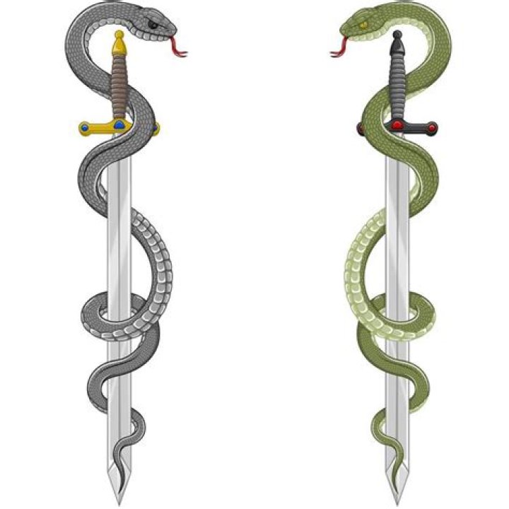 What does a snake wrapped around a sword mean?