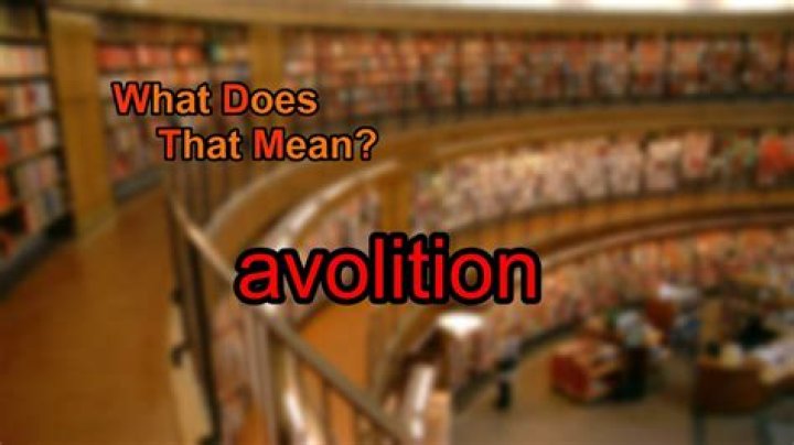 What does Avolition mean?