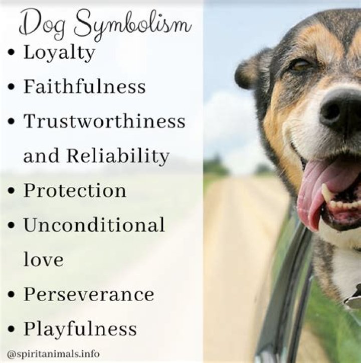 What does dog symbolize?