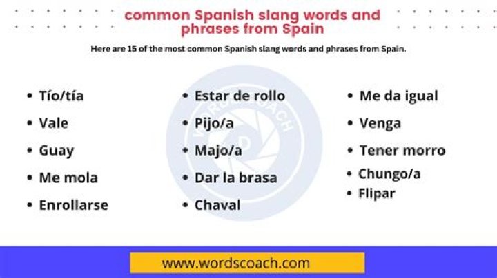What does Mocoso mean in Spanish slang?