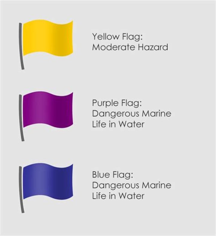 What does purple flag mean?