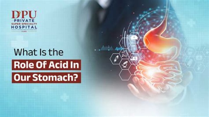 What does stomach acid look like when thrown up?
