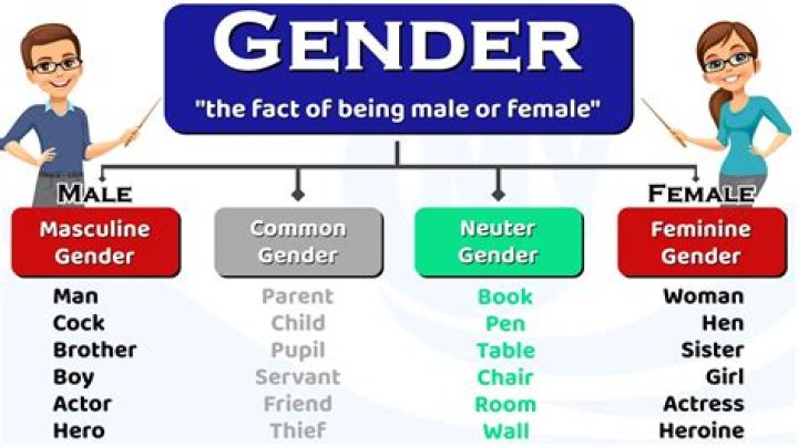 What gender is most common in twins?