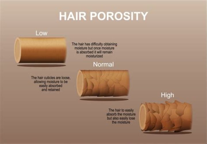 What hair type loses the most hair?