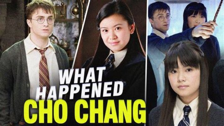 What happened to Chang and Eng children?