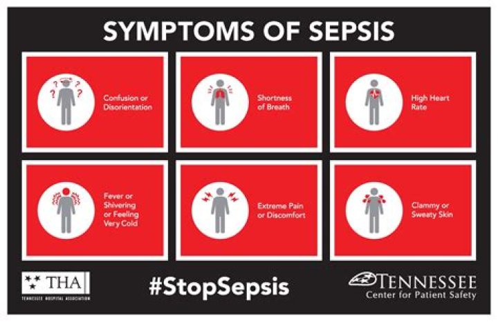 What happens when someone dies from sepsis?