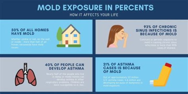 What health problems can mold cause?