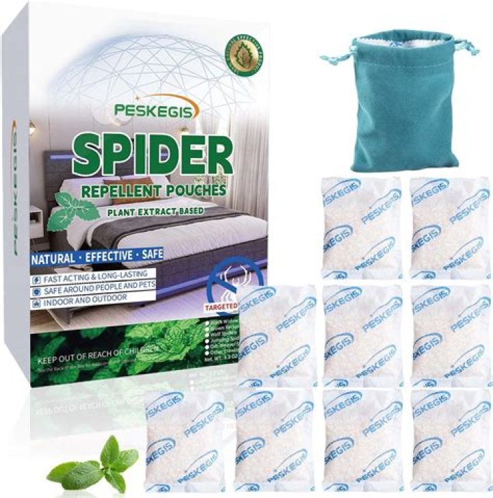 What is a spider deterrent?
