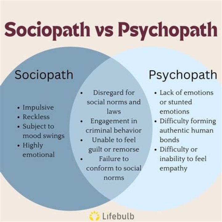 What is a successful psychopath?