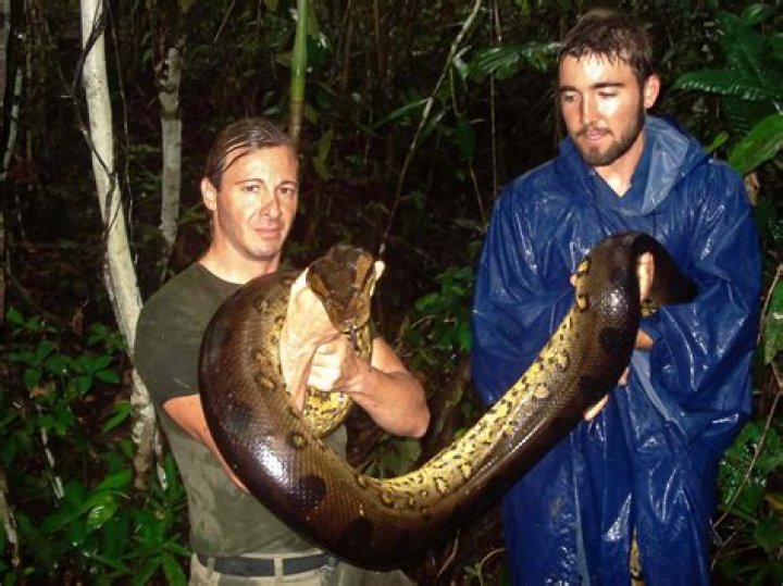 What is Amazon doing in India?