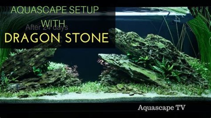 What is Aquarium Dragon Stone?