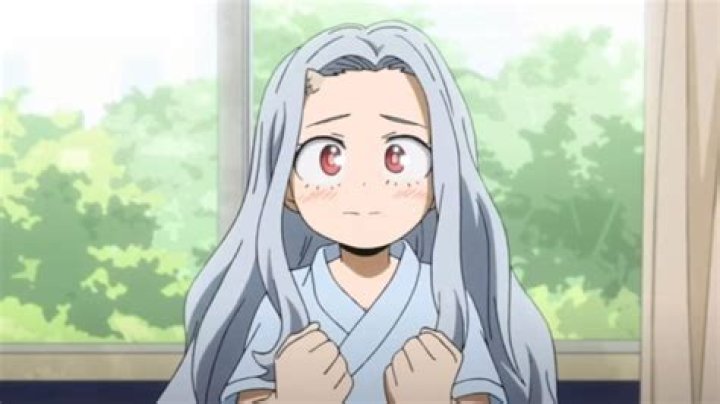 What is ERI's last name MHA?