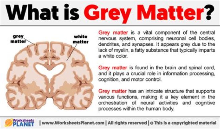 What is GREY matter IQ?