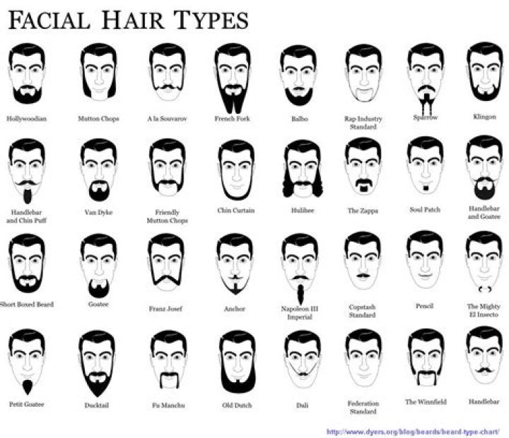 What is hair on the chin called?