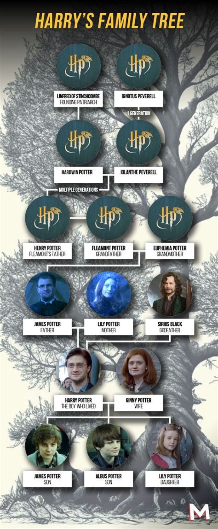 What is Harry Potters MBTI?