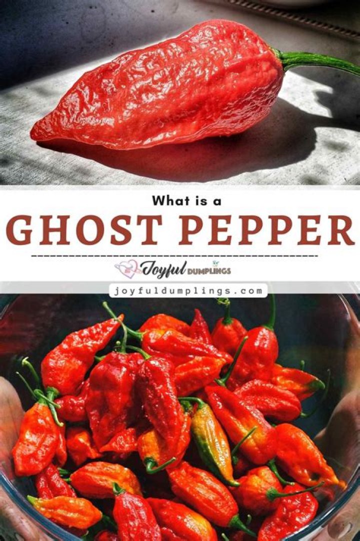 What is it like eating a ghost pepper?