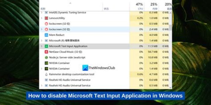 What is Microsoft text input?