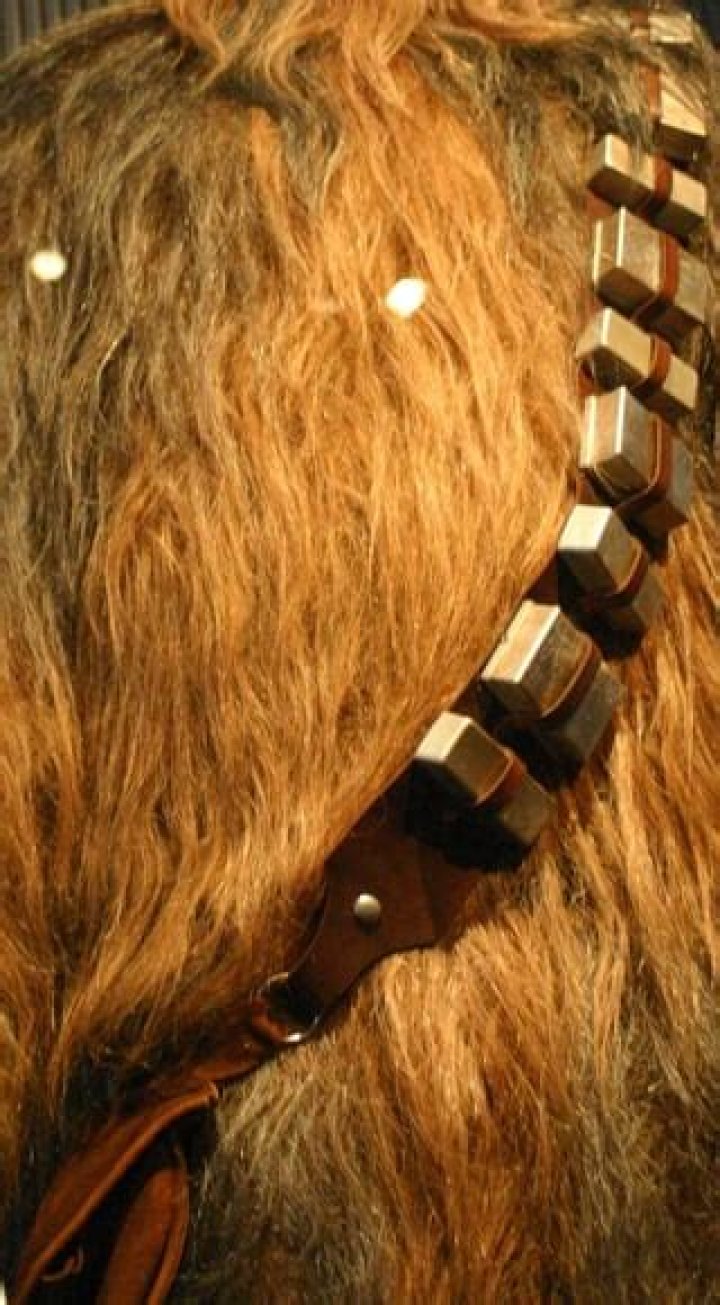 What is on Chewbaccas belt?