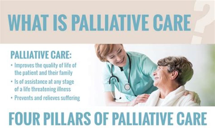 What is palliative chemo?