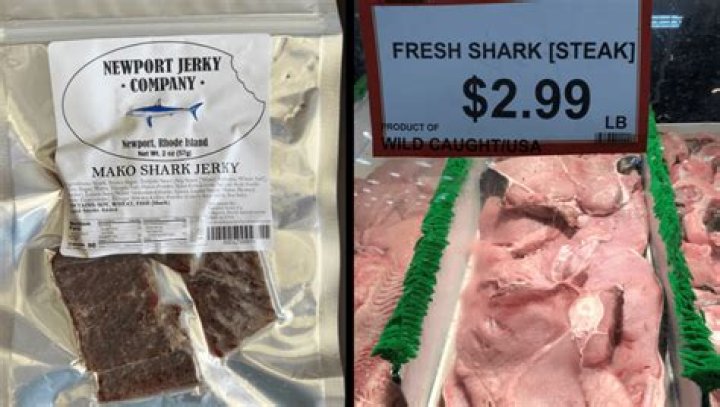 What is shark meat called in restaurants?