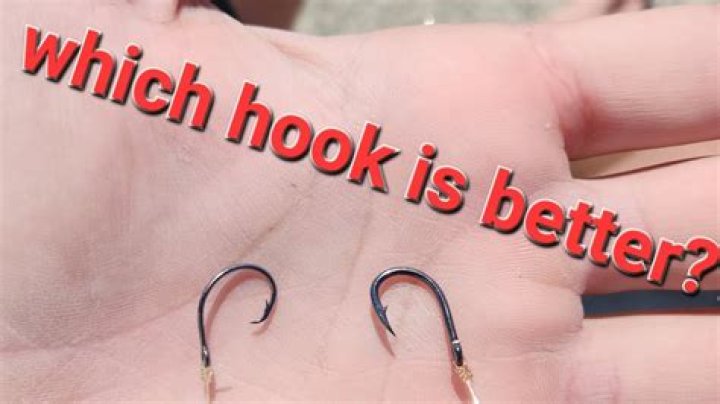 What is the best hook for catfish?