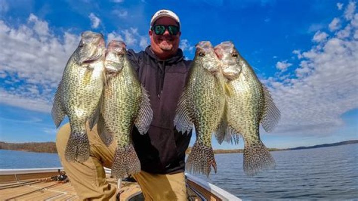 What is the best size minnow for crappie fishing?