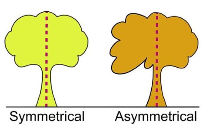 What is the definition of asymmetrical and how does it apply to design?
