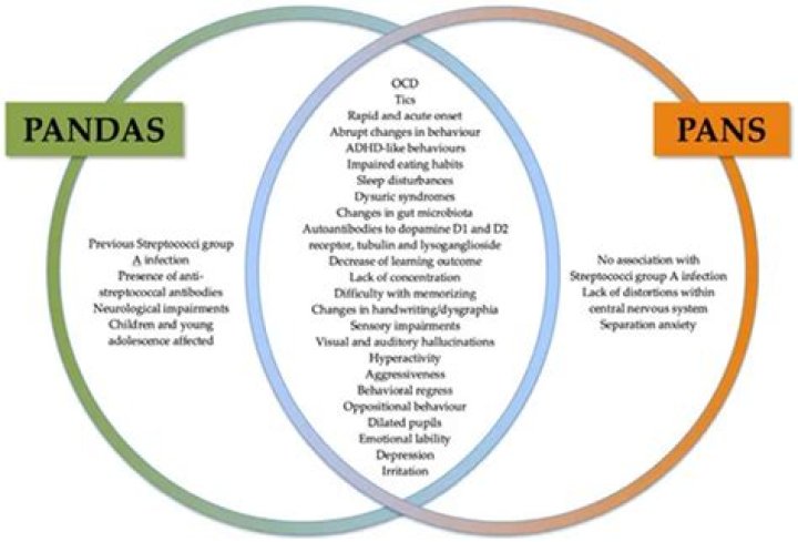 What is the difference between PANS and PANDAS?